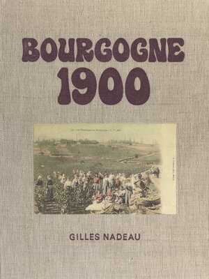 cover image of Bourgogne 1900